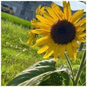 ヒメ日記 2025/07/17 21:05 投稿 ユリノ【特別指名料】 京都 泡洗体ハイブリッドエステ PUPPY LOVE 京都駅前本店