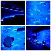 ヒメ日記 2025/07/25 21:05 投稿 ユリノ【特別指名料】 京都 泡洗体ハイブリッドエステ PUPPY LOVE 京都駅前本店