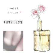 ヒメ日記 2025/07/28 21:15 投稿 ユリノ【特別指名料】 京都 泡洗体ハイブリッドエステ PUPPY LOVE 京都駅前本店