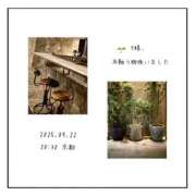 ヒメ日記 2025/09/23 12:05 投稿 ユリノ【特別指名料】 京都 泡洗体ハイブリッドエステ PUPPY LOVE 京都駅前本店