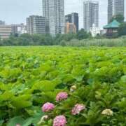 ヒメ日記 2024/06/27 08:56 投稿 ゆか 新宿・新大久保おかあさん