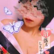 ヒメ日記 2025/01/29 23:18 投稿 しおり 五反田アンジェリーク