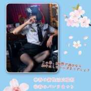 ヒメ日記 2025/04/02 14:26 投稿 しおり 五反田アンジェリーク