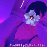 ヒメ日記 2025/06/16 19:52 投稿 しおり 五反田アンジェリーク