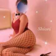 ヒメ日記 2025/10/05 20:24 投稿 しおり 五反田アンジェリーク