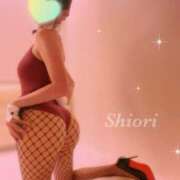 ヒメ日記 2025/10/22 22:31 投稿 しおり 五反田アンジェリーク