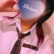 ヒメ日記 2025/11/16 07:22 投稿 しおり 五反田アンジェリーク