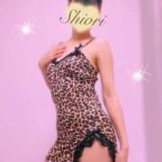 ヒメ日記 2026/02/05 02:00 投稿 しおり 五反田アンジェリーク