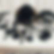 ヒメ日記 2026/02/25 20:00 投稿 しおり 五反田アンジェリーク