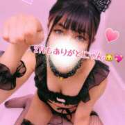 しおり ありがとにゃん 五反田アンジェリーク