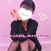 ヒメ日記 2026/03/03 07:00 投稿 しおり 五反田アンジェリーク