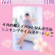 ヒメ日記 2026/04/03 10:15 投稿 しおり 五反田アンジェリーク