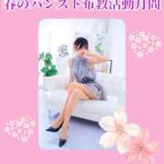 ヒメ日記 2026/04/04 23:00 投稿 しおり 五反田アンジェリーク