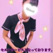 ヒメ日記 2026/04/05 15:30 投稿 しおり 五反田アンジェリーク