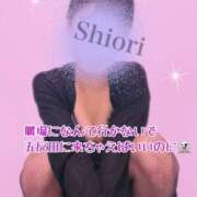 しおり ワレワレハキュウ… 五反田アンジェリーク