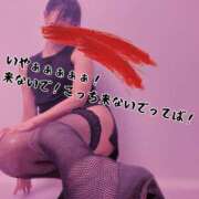 ヒメ日記 2026/06/21 22:00 投稿 しおり 五反田アンジェリーク