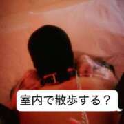 ヒメ日記 2026/08/15 09:30 投稿 しおり 五反田アンジェリーク