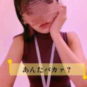 ヒメ日記 2026/10/07 09:58 投稿 しおり 五反田アンジェリーク