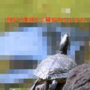 ヒメ日記 2026/10/08 11:56 投稿 しおり 五反田アンジェリーク