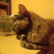 ヒメ日記 2024/12/15 15:45 投稿 浅倉　あい ギン妻パラダイス 谷九店