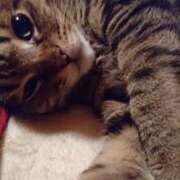 ヒメ日記 2025/04/26 19:36 投稿 浅倉　あい ギン妻パラダイス 谷九店