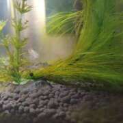 ヒメ日記 2025/05/16 16:08 投稿 浅倉　あい ギン妻パラダイス 谷九店