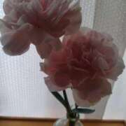 ヒメ日記 2025/06/03 14:21 投稿 浅倉　あい ギン妻パラダイス 谷九店