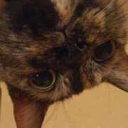 ヒメ日記 2025/06/18 19:31 投稿 浅倉　あい ギン妻パラダイス 谷九店