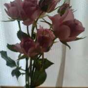 ヒメ日記 2025/06/22 14:59 投稿 浅倉　あい ギン妻パラダイス 谷九店