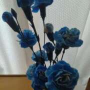 ヒメ日記 2025/07/19 16:52 投稿 浅倉　あい ギン妻パラダイス 谷九店