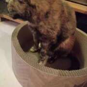 ヒメ日記 2025/08/09 20:44 投稿 浅倉　あい ギン妻パラダイス 谷九店