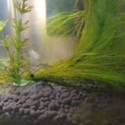 ヒメ日記 2025/09/19 17:09 投稿 浅倉　あい ギン妻パラダイス 谷九店