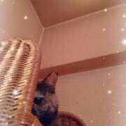 ヒメ日記 2025/09/26 16:40 投稿 浅倉　あい ギン妻パラダイス 谷九店