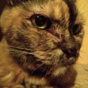 ヒメ日記 2025/10/03 20:32 投稿 浅倉　あい ギン妻パラダイス 谷九店