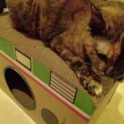 ヒメ日記 2025/11/04 14:19 投稿 浅倉　あい ギン妻パラダイス 谷九店