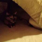 ヒメ日記 2025/11/07 15:13 投稿 浅倉　あい ギン妻パラダイス 谷九店