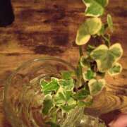 ヒメ日記 2026/01/26 19:07 投稿 浅倉　あい ギン妻パラダイス 谷九店