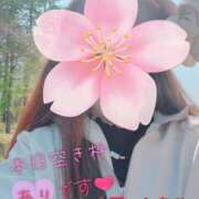 ヒメ日記 2025/05/16 08:22 投稿 大西　とも ソープランド蜜 人妻・美熟女専門店