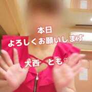 ヒメ日記 2025/09/18 08:10 投稿 大西　とも ソープランド蜜 人妻・美熟女専門店