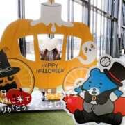 ヒメ日記 2025/10/31 21:36 投稿 大西　とも ソープランド蜜 人妻・美熟女専門店