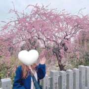 ヒメ日記 2026/02/28 20:12 投稿 大西　とも ソープランド蜜 人妻・美熟女専門店