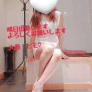 ヒメ日記 2026/03/31 12:42 投稿 大西　とも ソープランド蜜 人妻・美熟女専門店