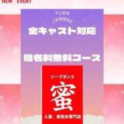 ヒメ日記 2024/02/15 16:22 投稿 川島 ゆき ソープランド蜜 人妻・美熟女専門店