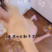 ヒメ日記 2025/01/25 14:22 投稿 川島 ゆき ソープランド蜜 人妻・美熟女専門店