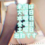 ヒメ日記 2025/01/31 18:52 投稿 川島 ゆき ソープランド蜜 人妻・美熟女専門店