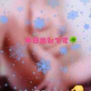 ヒメ日記 2025/02/15 11:55 投稿 川島 ゆき ソープランド蜜 人妻・美熟女専門店