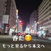 ヒメ日記 2025/03/13 00:32 投稿 川島 ゆき ソープランド蜜 人妻・美熟女専門店