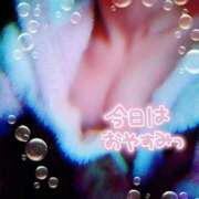 ヒメ日記 2025/04/11 11:25 投稿 川島 ゆき ソープランド蜜 人妻・美熟女専門店