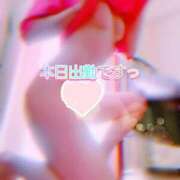 ヒメ日記 2025/04/15 11:42 投稿 川島 ゆき ソープランド蜜 人妻・美熟女専門店