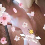 ヒメ日記 2025/04/24 09:00 投稿 川島 ゆき ソープランド蜜 人妻・美熟女専門店